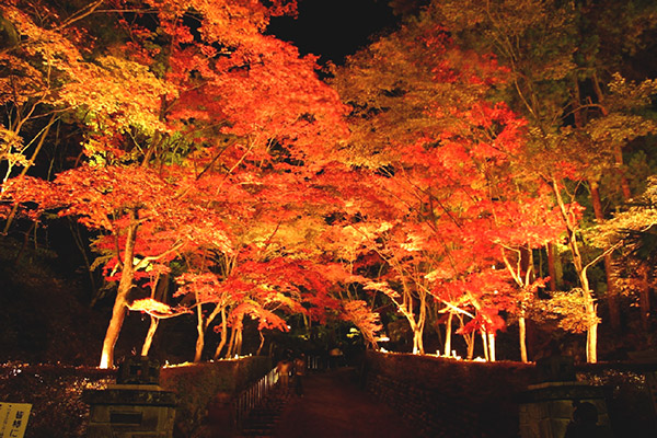 松雲山荘の紅葉ライトアップ
